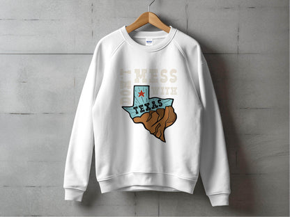 Iconic Don't Mess with Texas Graphic Sweater - Design & Vybe
